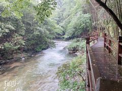 -祁门牯牛降观音堂风景区