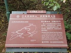 -九曜山