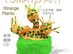 -蕃茄田艺术•美术绘画 •硬笔书法(滨江海威领界店)