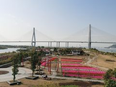 -芒洲湿地公园