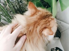 -小时光咖啡馆(北锣鼓巷店)