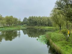 -东郊湿地公园