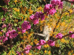 -济南国际园博园