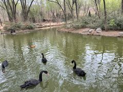 -济南野生动物世界