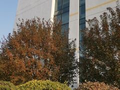 周边环境-中国医科大学附属盛京医院(滑翔院区)
