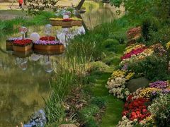 -上海共青森林公园