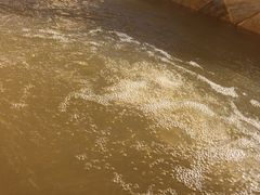 -泉城欧乐堡戏水湾艺术养生温泉