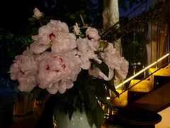 -Ginger(兴国路店)