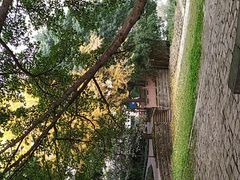 -成都市活水公园