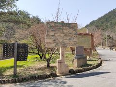 -金龙寺国家森林公园
