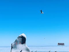 -青海湖国家重点风景名胜区