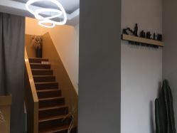 -THE LOG SALON 记录