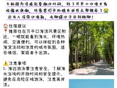 -日照海滨国家森林公园