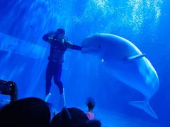 -多彩贵州城极地海洋世界