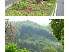 -黄山翡翠谷景区