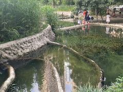 -成都市活水公园