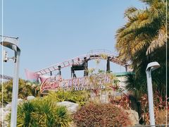 -大信·云顶星河游乐王国