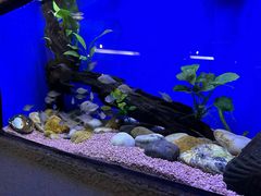 -上海海洋水族馆