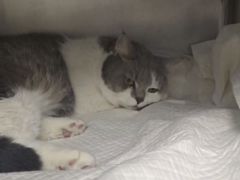 -爱侣宠医·鹦鹉专科·小型哺乳类·异宠专科(灵石路店)