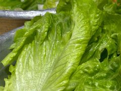 -姜虎东白丁烤肉(银泰中心in99店)