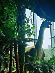 -恐龙探索乐园(磁器口店)