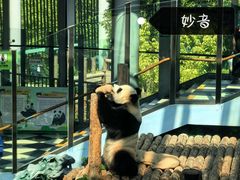 -大连森林动物园