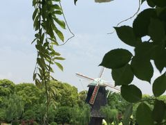 -上海鲜花港