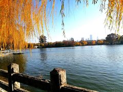 -济南大明湖景区