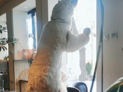 -BOCATA 西班牙餐厅(三里屯店)