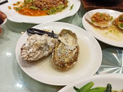 原只蒸大生蚝-濠景渔港(汇通店)