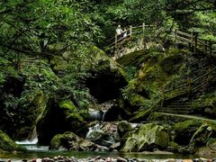 -西岭雪山大飞水景区