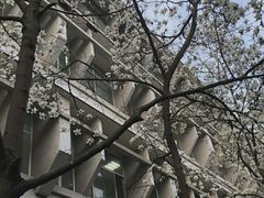 -中南财经政法大学(首义校区)