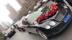-蚂蚁婚车
