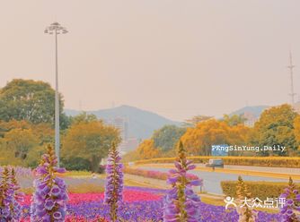 难得一次绿色出行 路过新洲路北环立交桥偶遇一片花海