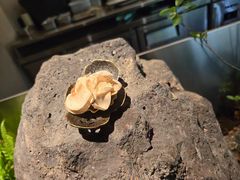 -曲廊院(东四十一条店)