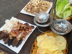 -蘑统田下·野生菌火锅