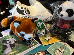 -成都保利公园皇冠假日酒店(熊猫基地店)