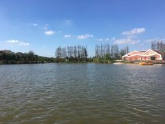 -上海长兴岛郊野公园