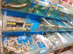 海鲜-张家卫·阳江菜·小海鲜(肥婆湾桥店)