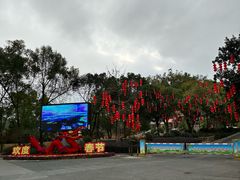 -大屏嶂森林公园