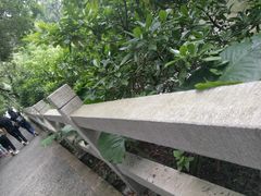 -大屏嶂森林公园