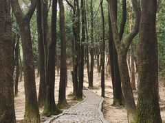 -火炉山森林公园