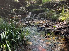 -九华秋浦胜境大王洞风景区