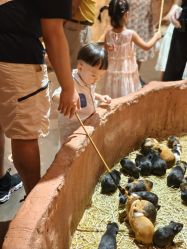 -Zoolung Zoolung动物主题公园(海信广场店)