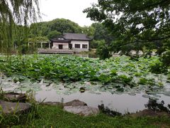 -范蠡湖公园