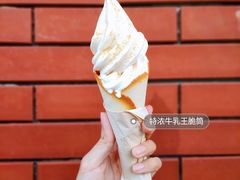特浓牛乳王脆筒-喜茶(佛山顺德大良东乐路店)