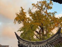 -常熟方塔园