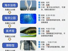 -日照海滨国家森林公园