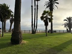 -约翰·菲茨杰拉德·肯尼迪国际机场