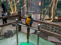 -凯德广场(学府店)